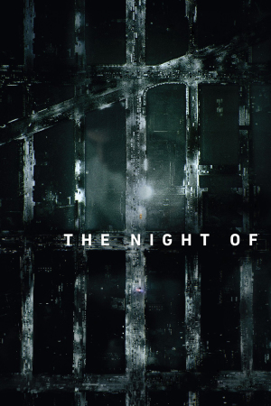 Watch Movies The Night Of (2016 TV Serive) Full Free Online
